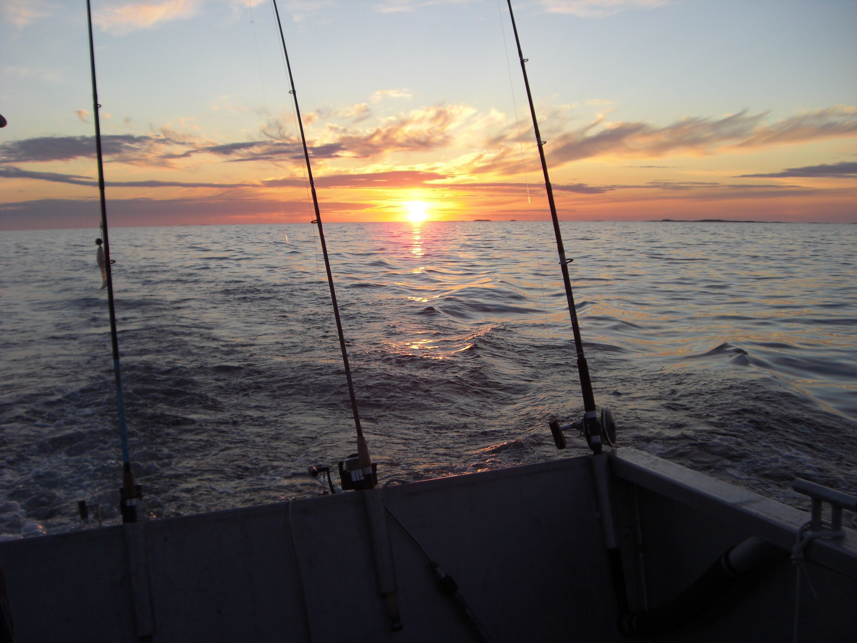 Bodensee Lake Constance Fishing & Angling Guide 2023